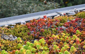 the cost of Easter Aberchalder green roof installation