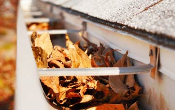 Easter Aberchalder gutter cleaning companies