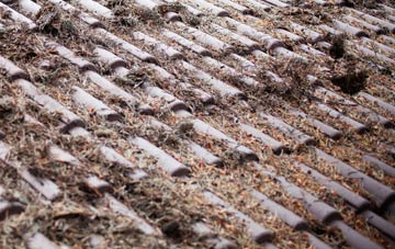 Easter Aberchalder roof cleaning companies