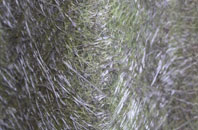 Easter Aberchalder fibreglass roof work